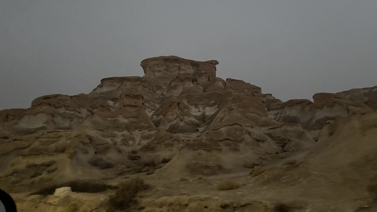 Meme🌟. tweet media