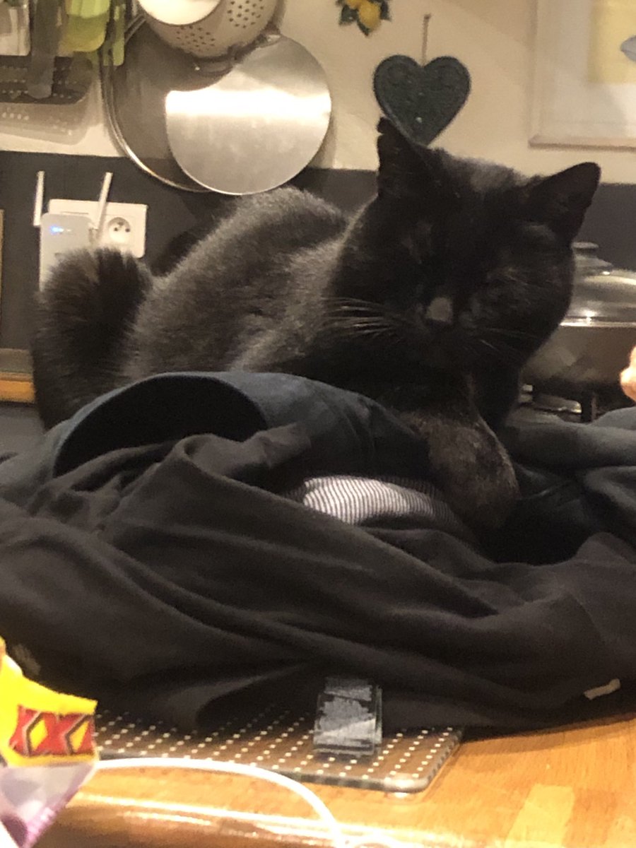 Jacqueline Murphy tweet media