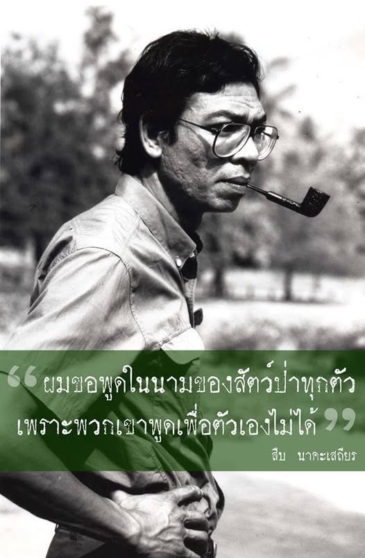 สงสารช้าง