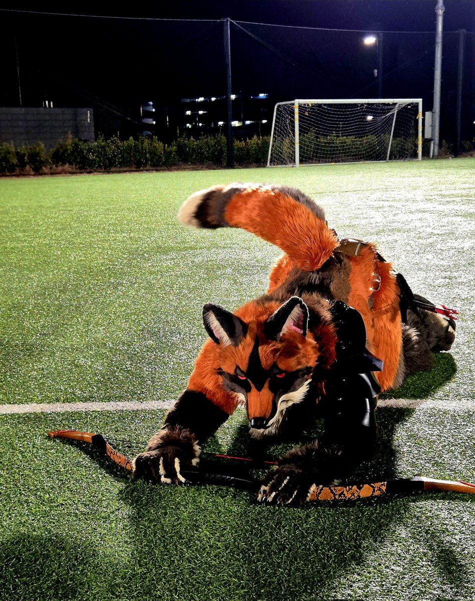 Sparrow🐦 ➡️ UTFG tweet media