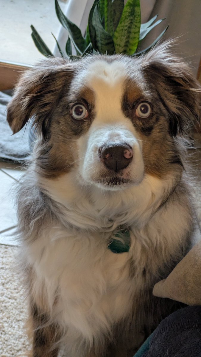 K ☕⚔️☕☕☕ tweet media