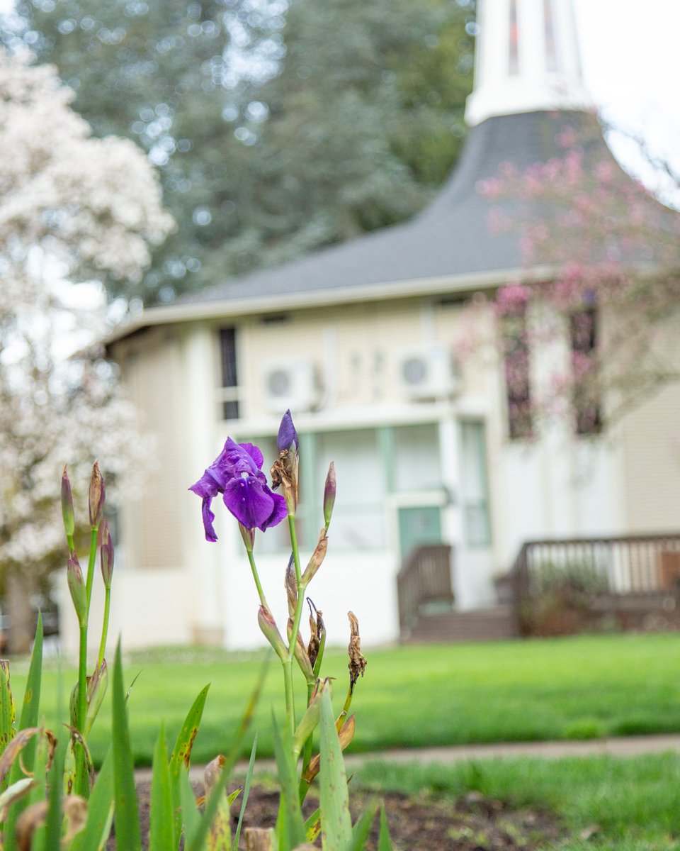 Western Seminary tweet media