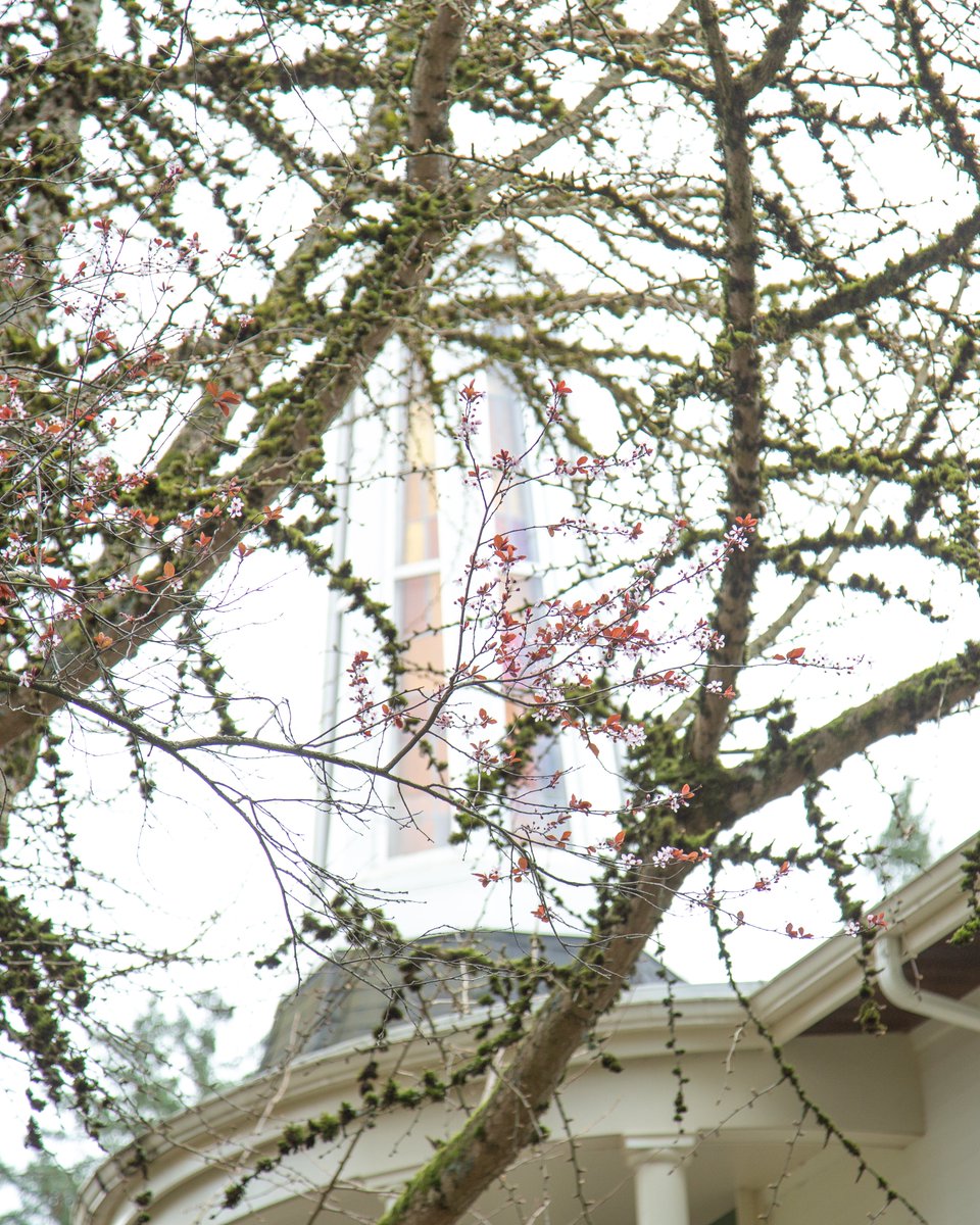 Western Seminary tweet media