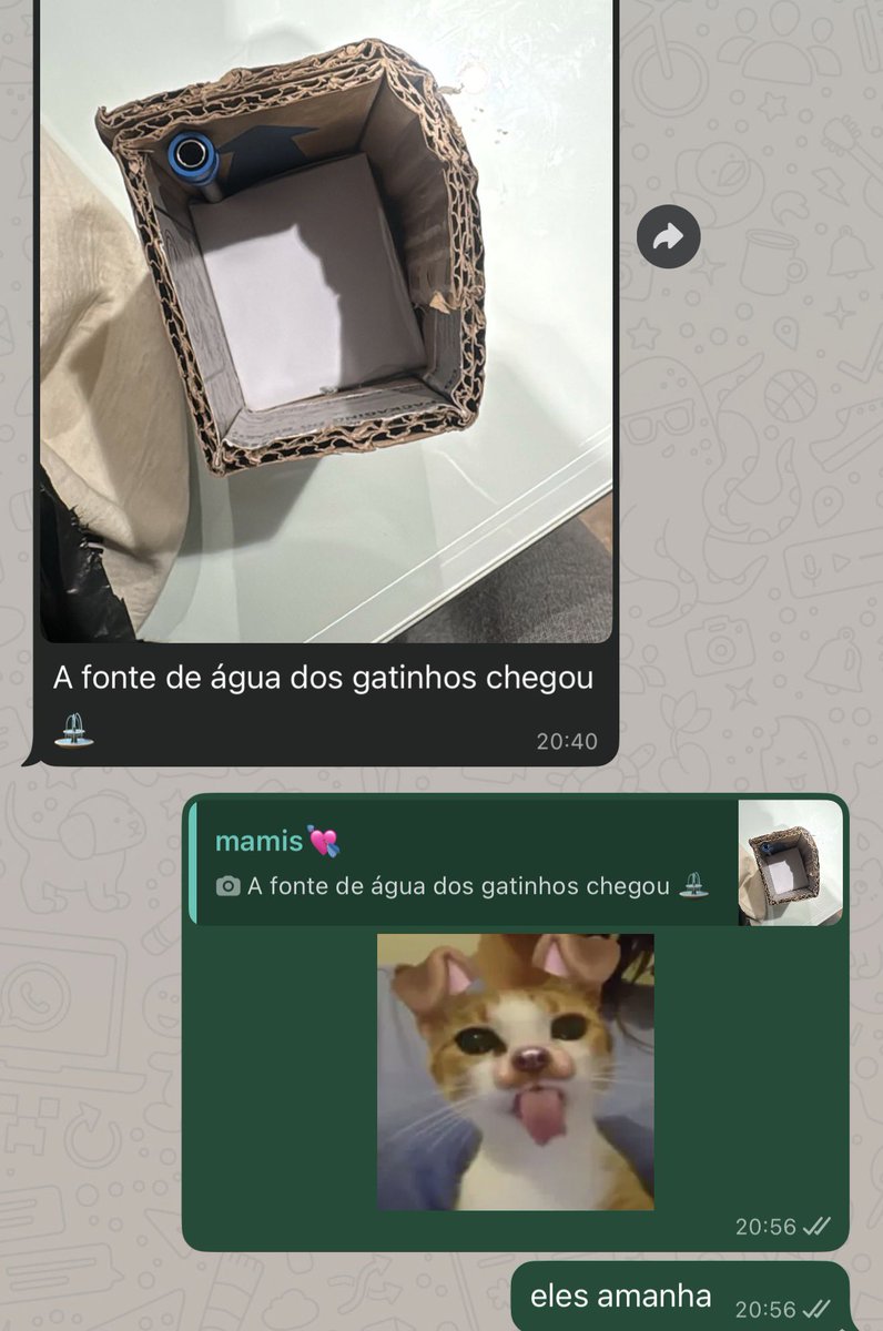 sofia ッ tweet media