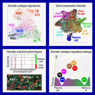 Cancer Cell tweet media