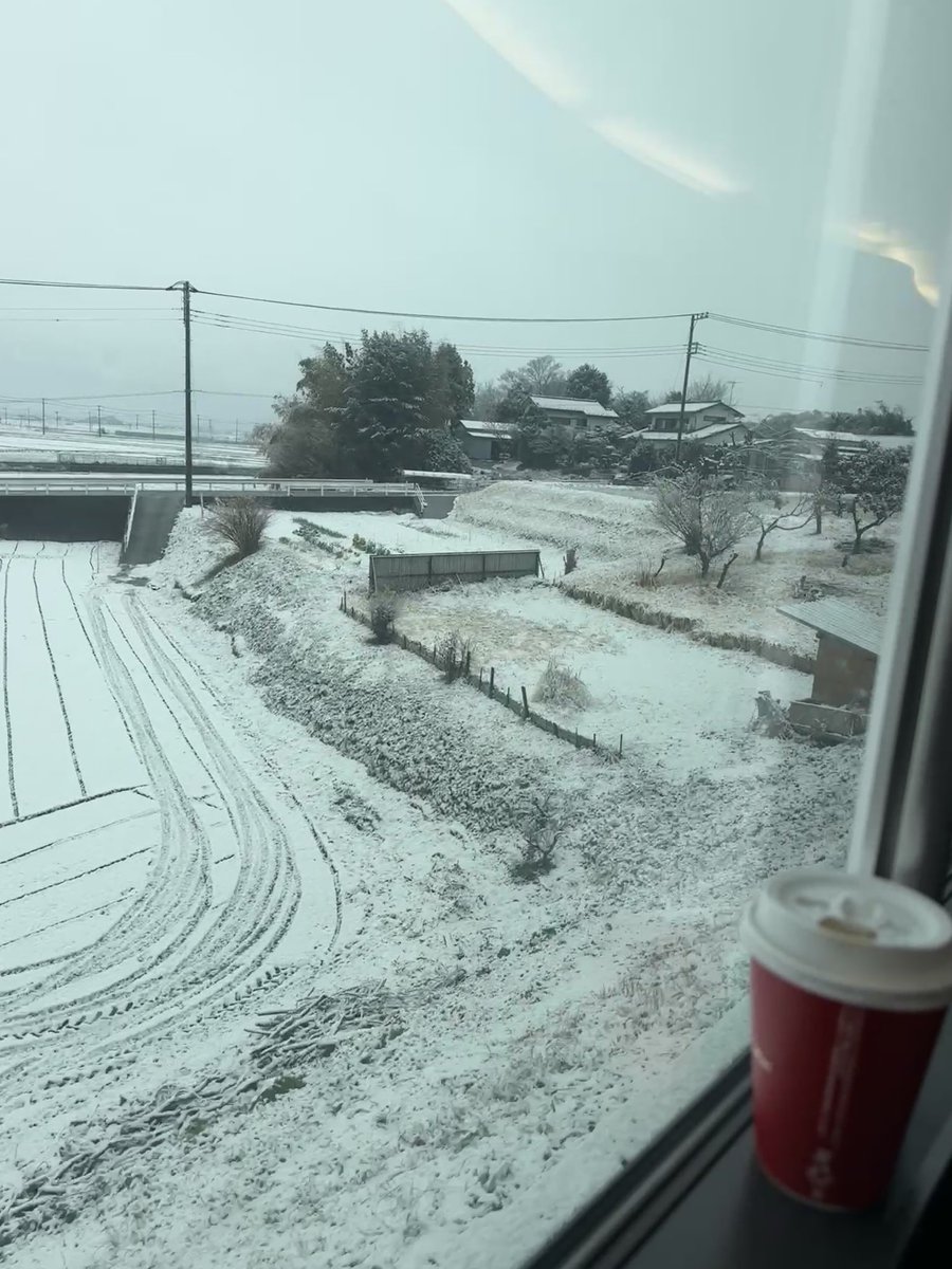 nakanaka_yeah's tweet photo. 東武線、雪の影響により、線路内倒竹により栃木〜下今市間で運転見合わせ中。。

雪の…影響により…？？？
…倒竹？

おい、南会津の竹どうなってる？ https://t.co/3MVkSgwEYo