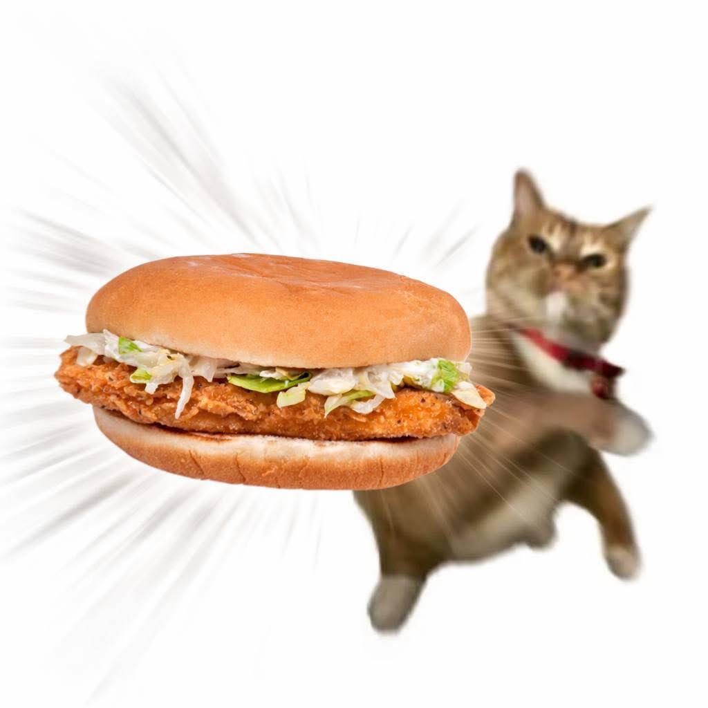 Lambo 👑 tweet media