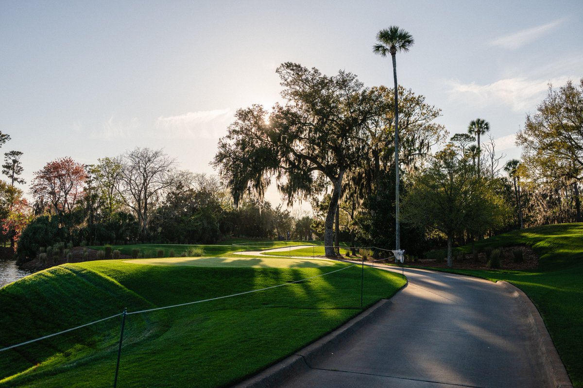 THE PLAYERS tweet media