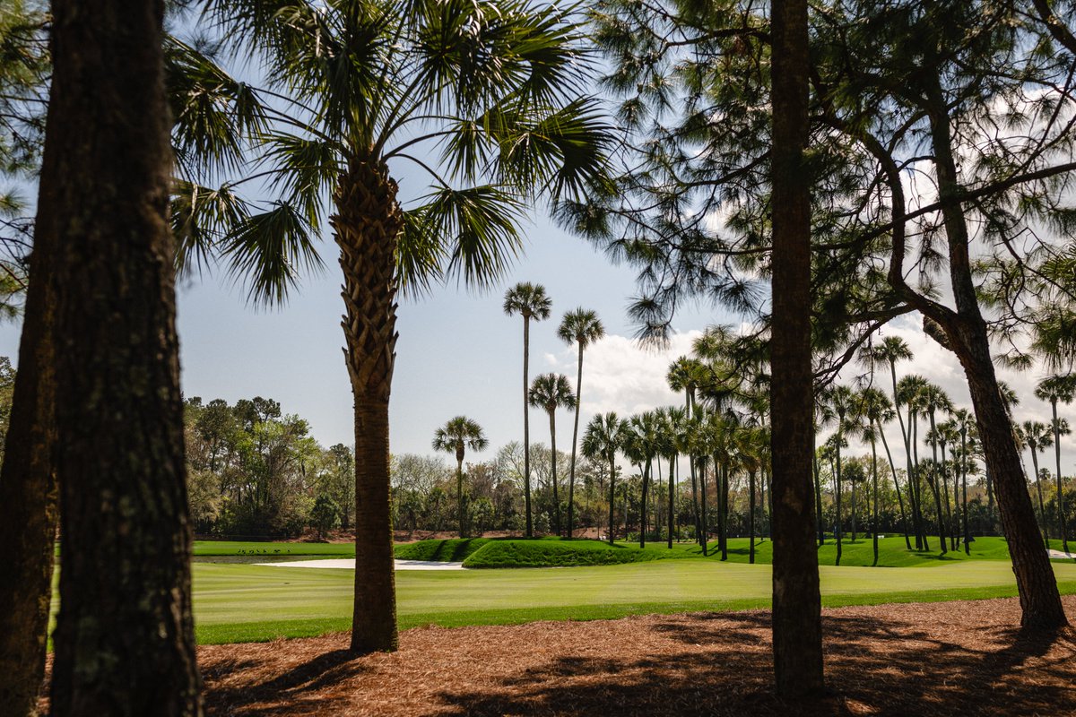 THE PLAYERS tweet media