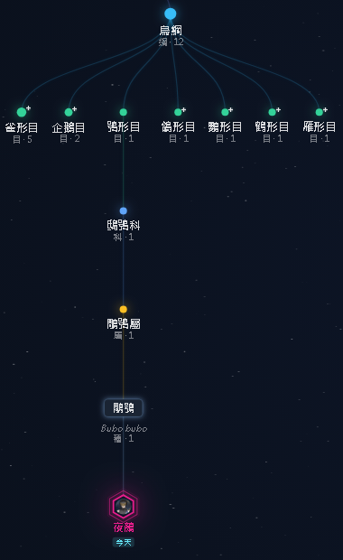 夜鵺🦉 tweet media