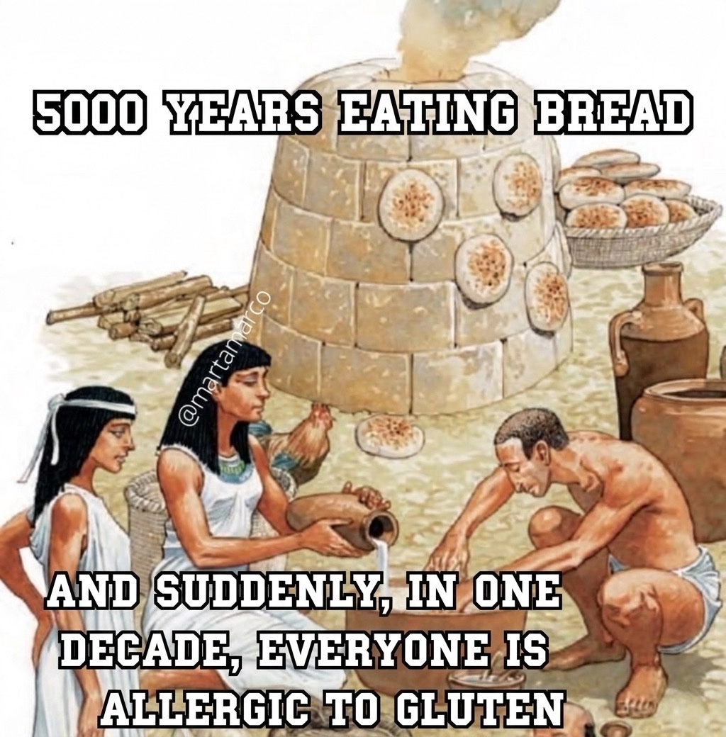 😆😆😆

#archaeohistories