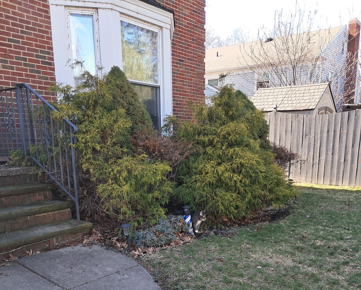 Kent Smith tweet media