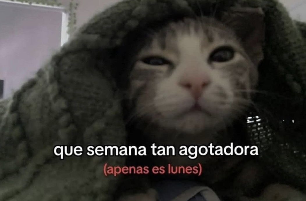 Mood