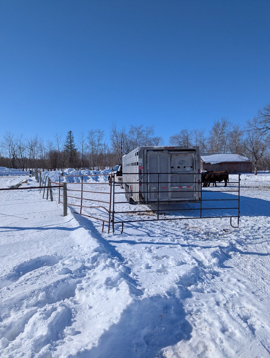 Neil Overby tweet media