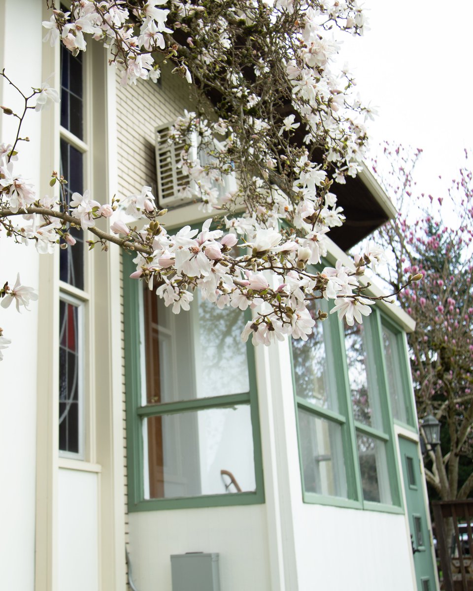 Western Seminary tweet media