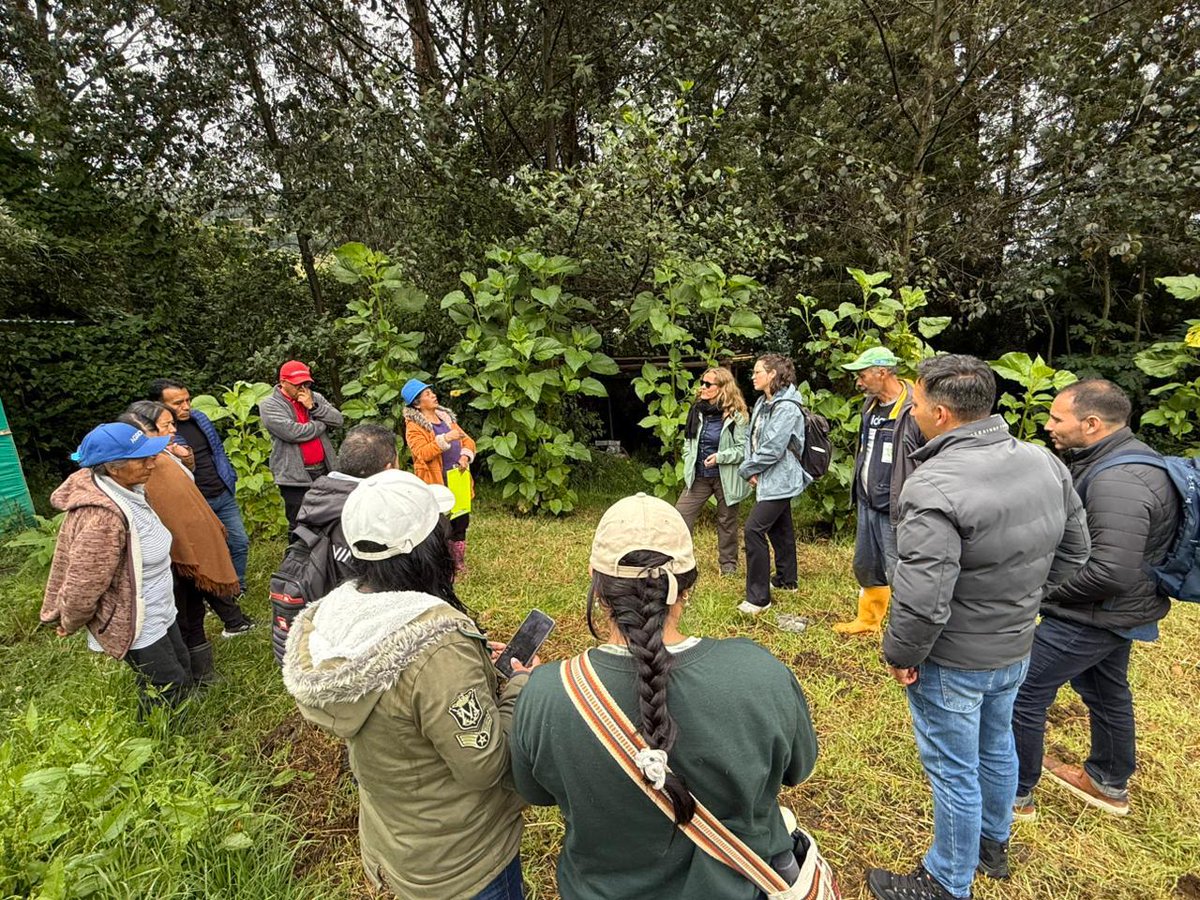 Alemania en Colombia tweet media