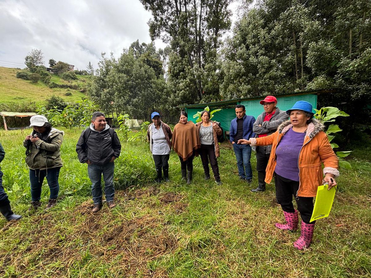 Alemania en Colombia tweet media