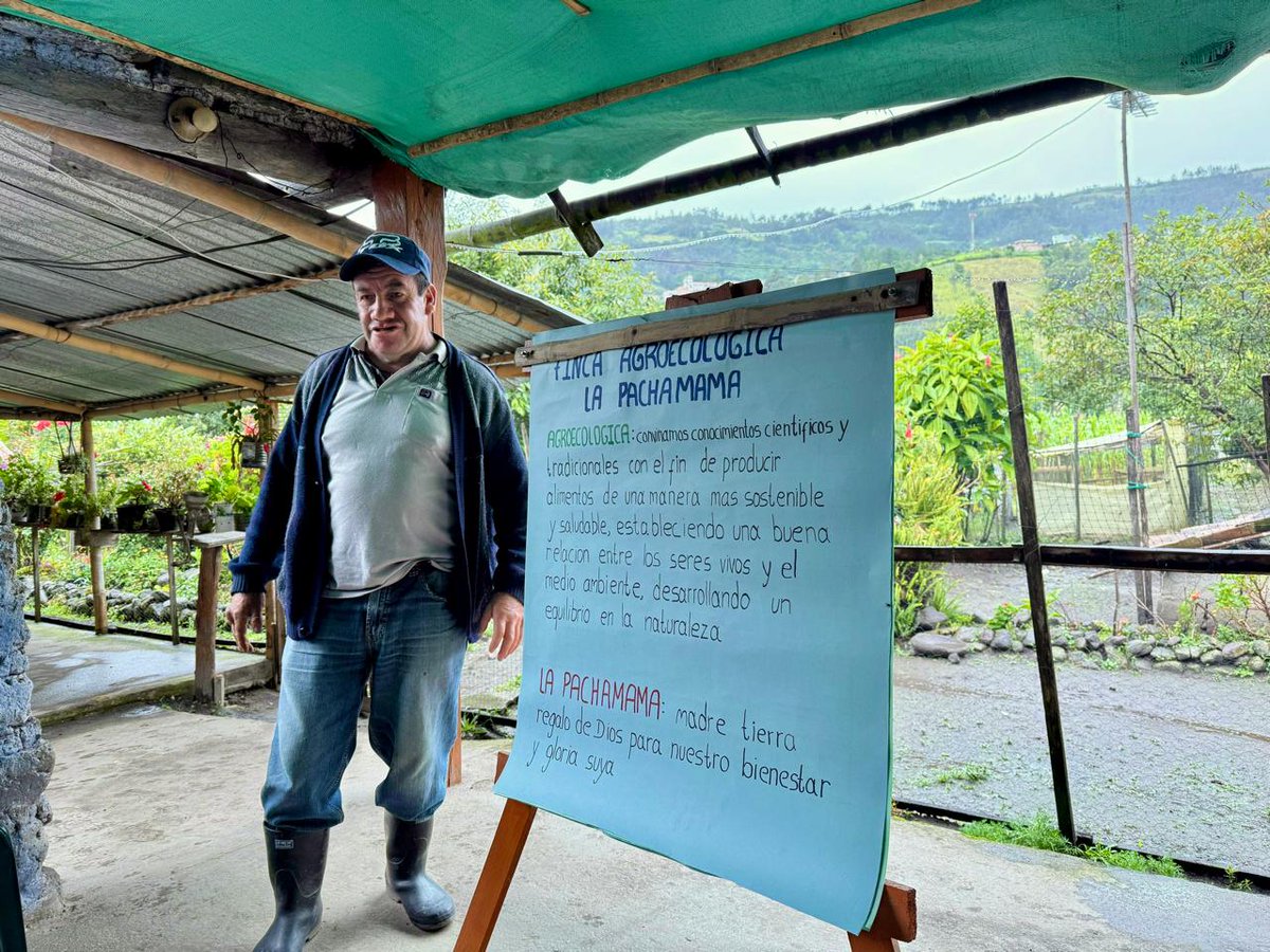 Alemania en Colombia tweet media