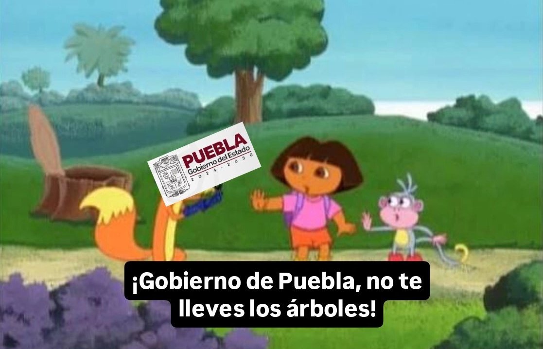 mitch_rhz's tweet photo. @Gob_Puebla #PorAmorAPuebla #NoCablebus #ConsultaCiudadana https://t.co/bmx2ZaP4kh