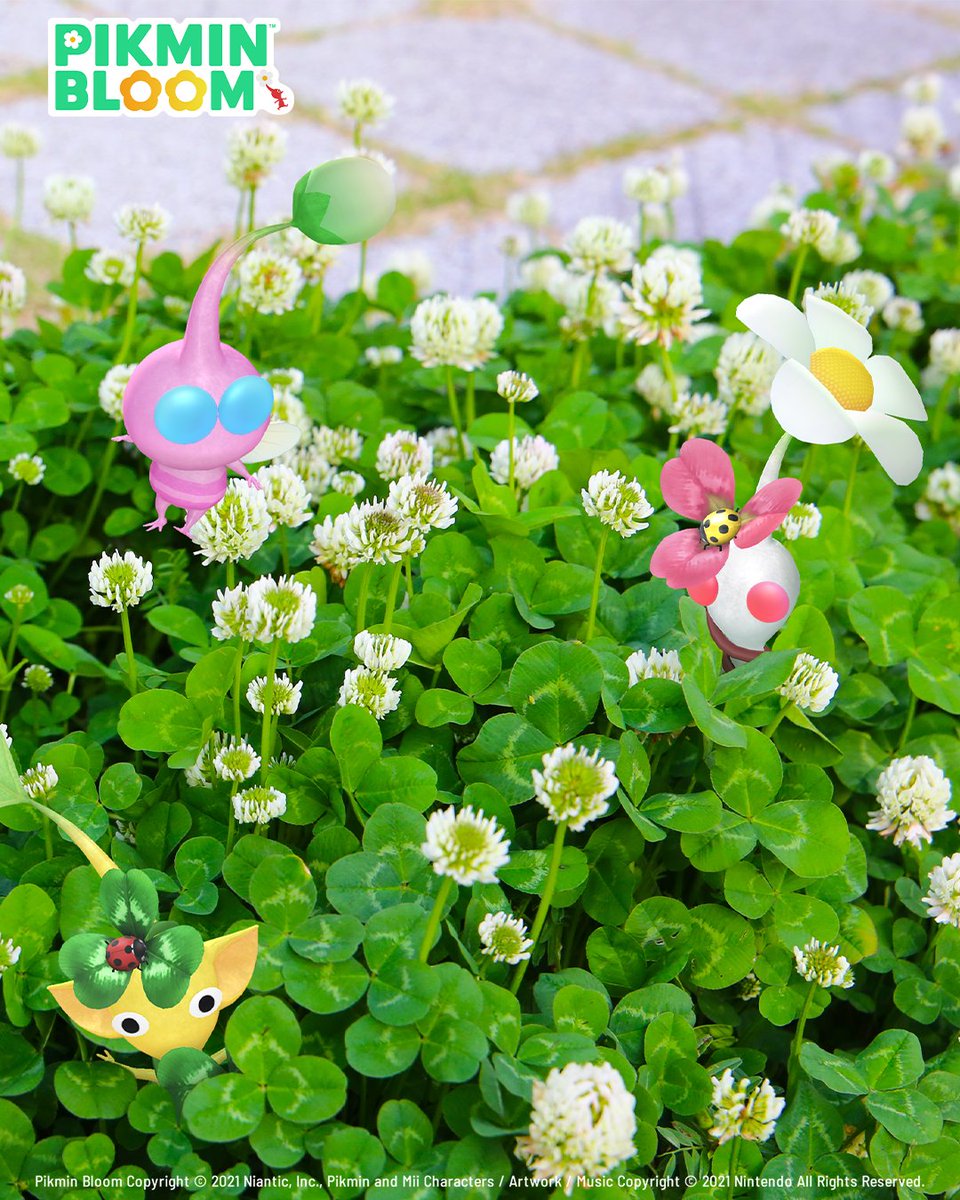 Pikmin Bloom tweet media