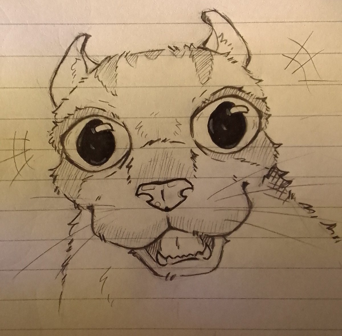 New Cartoon Paper tweet media