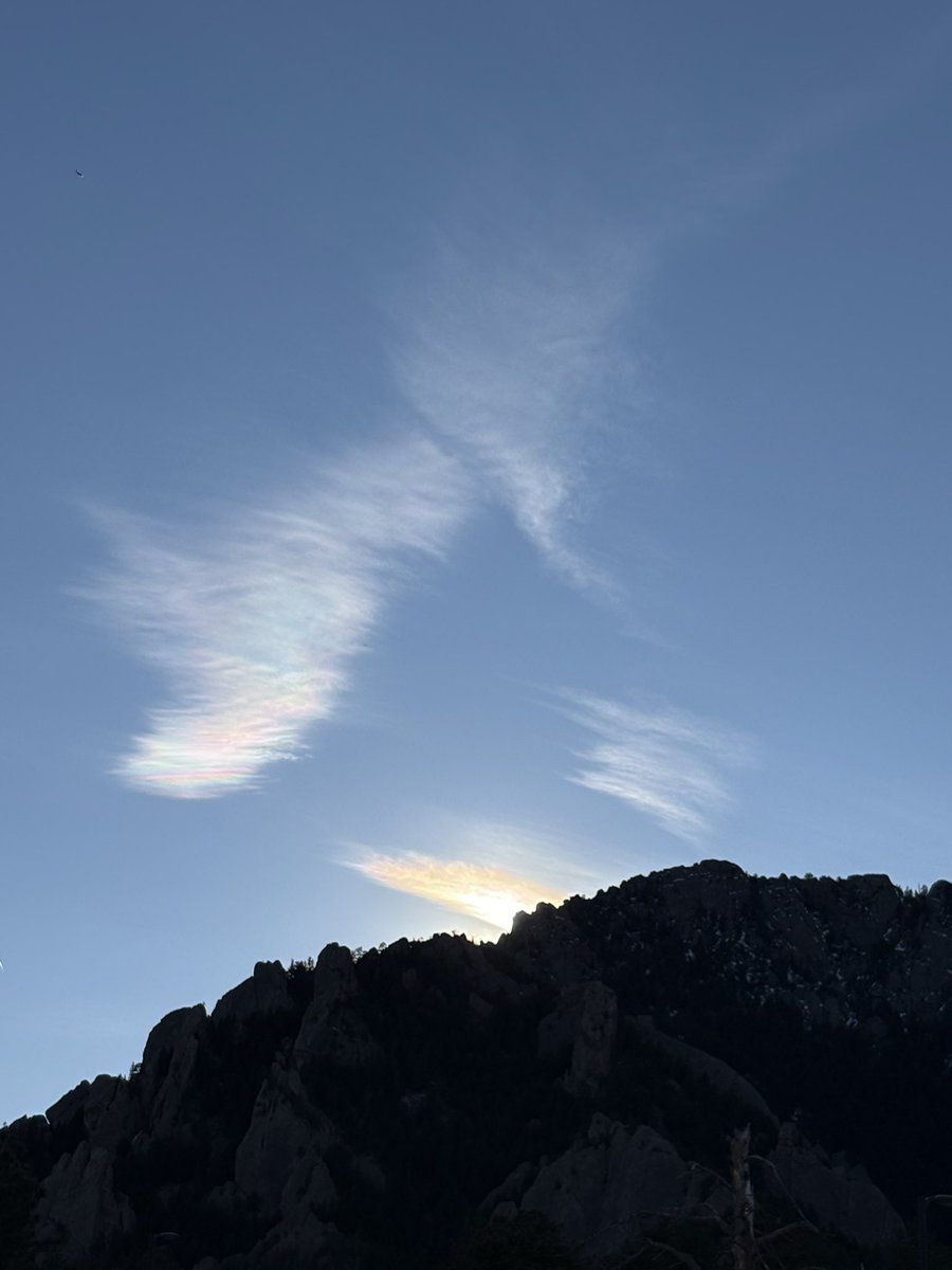 Scott Steiger tweet media