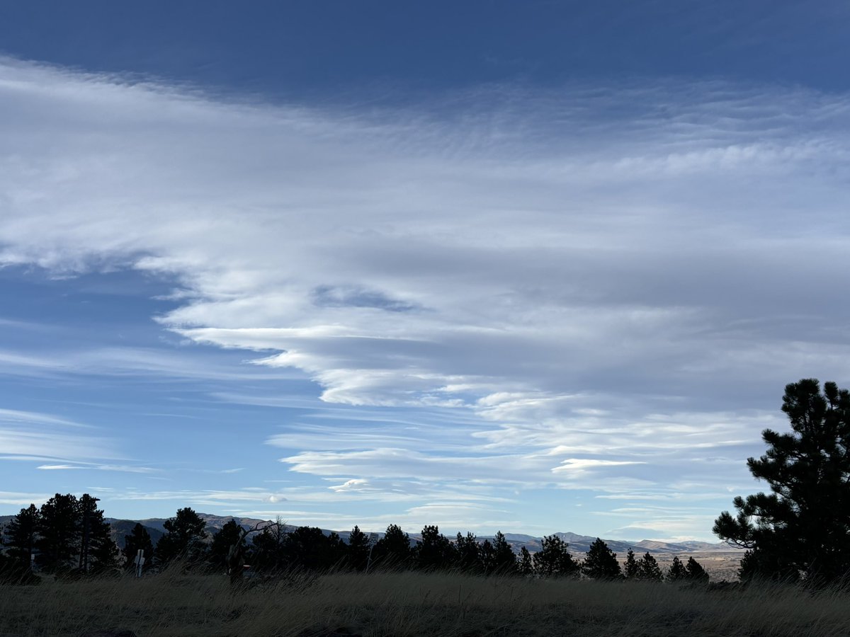 Scott Steiger tweet media