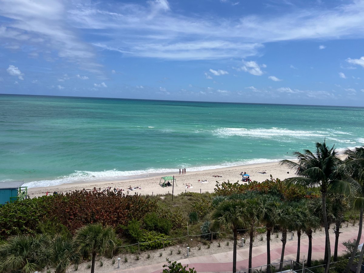 Lia the Trader 👸💸 tweet media