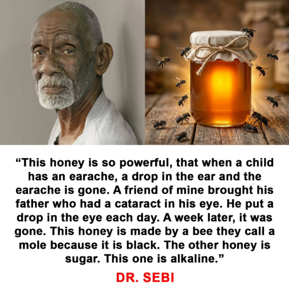 Dr.Sebi tweet media