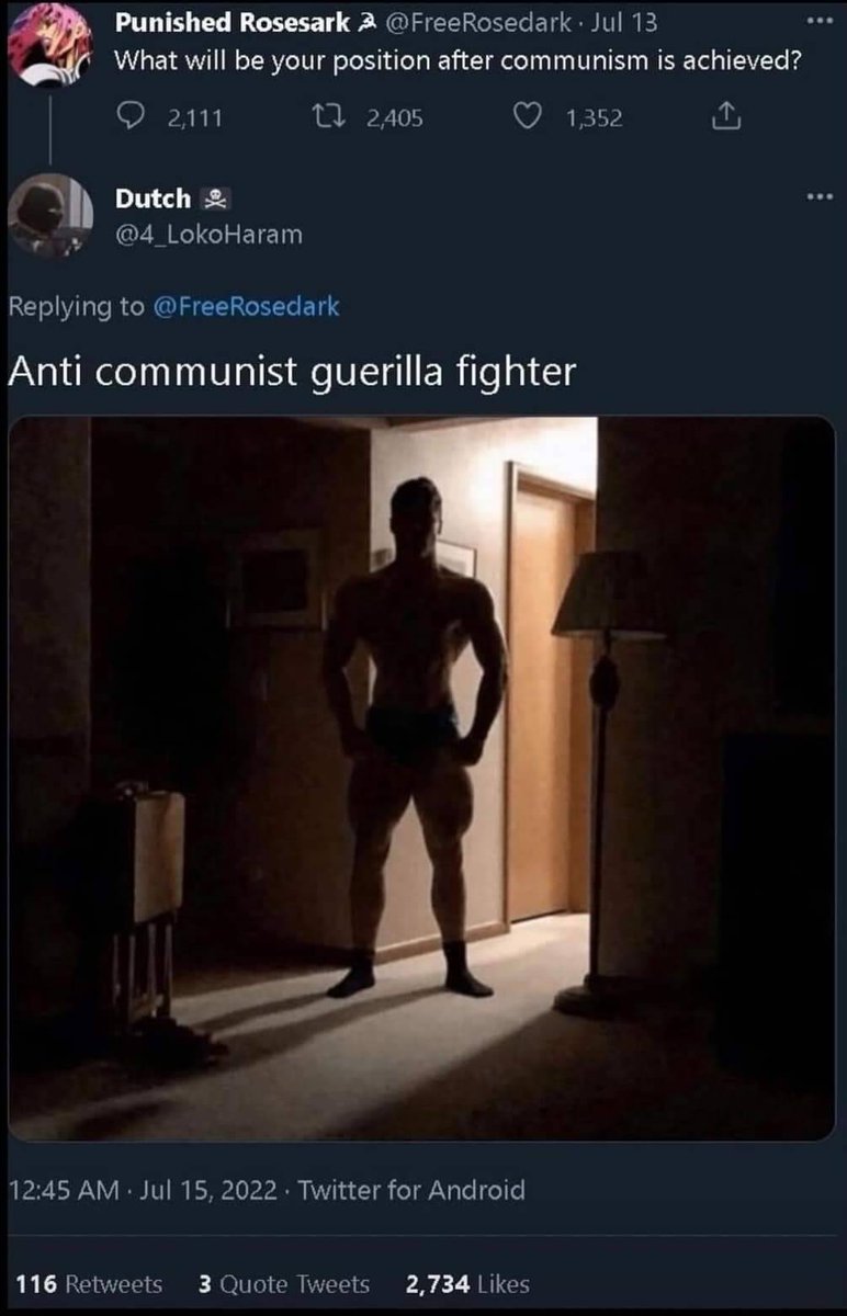 𝙉𝙞𝙛 tweet media