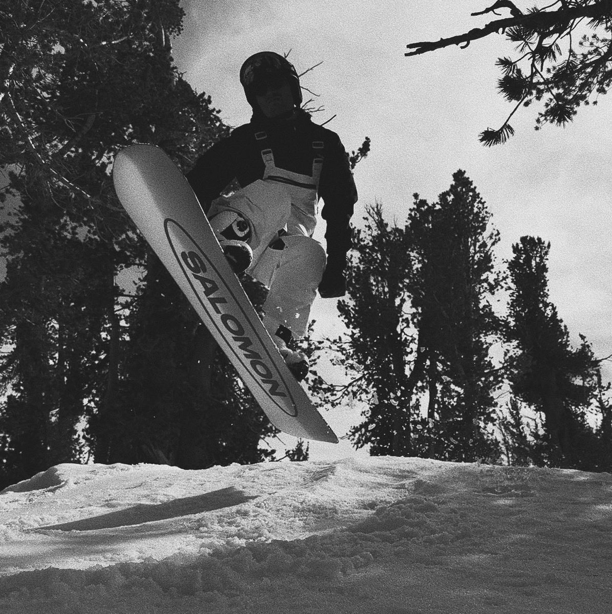 Alex Burdin tweet media