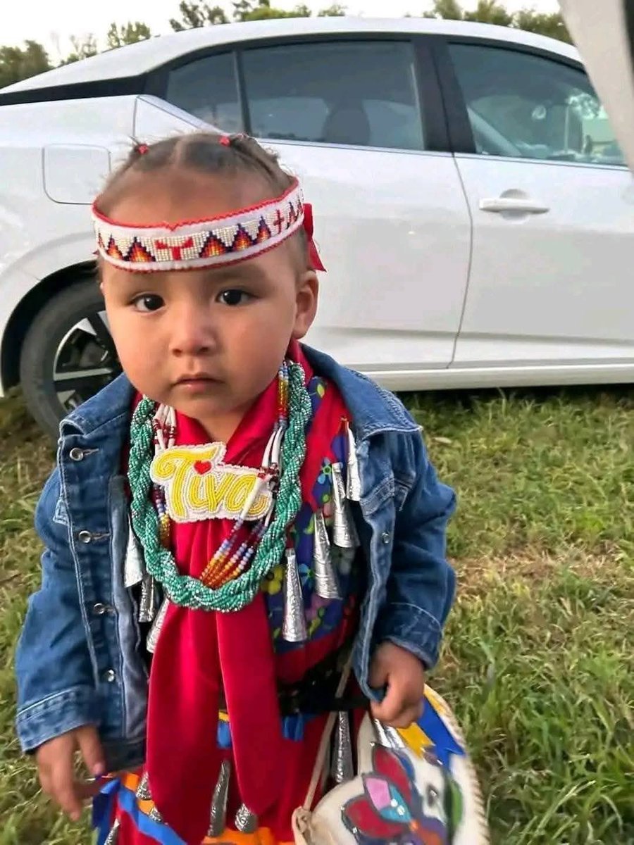 Native American All Tribes tweet media