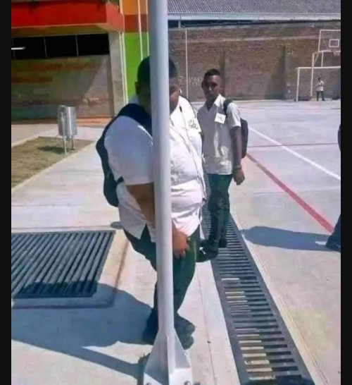Polo Polo desde una cuenta fake viendo todos los tuits que hacen sobre él.