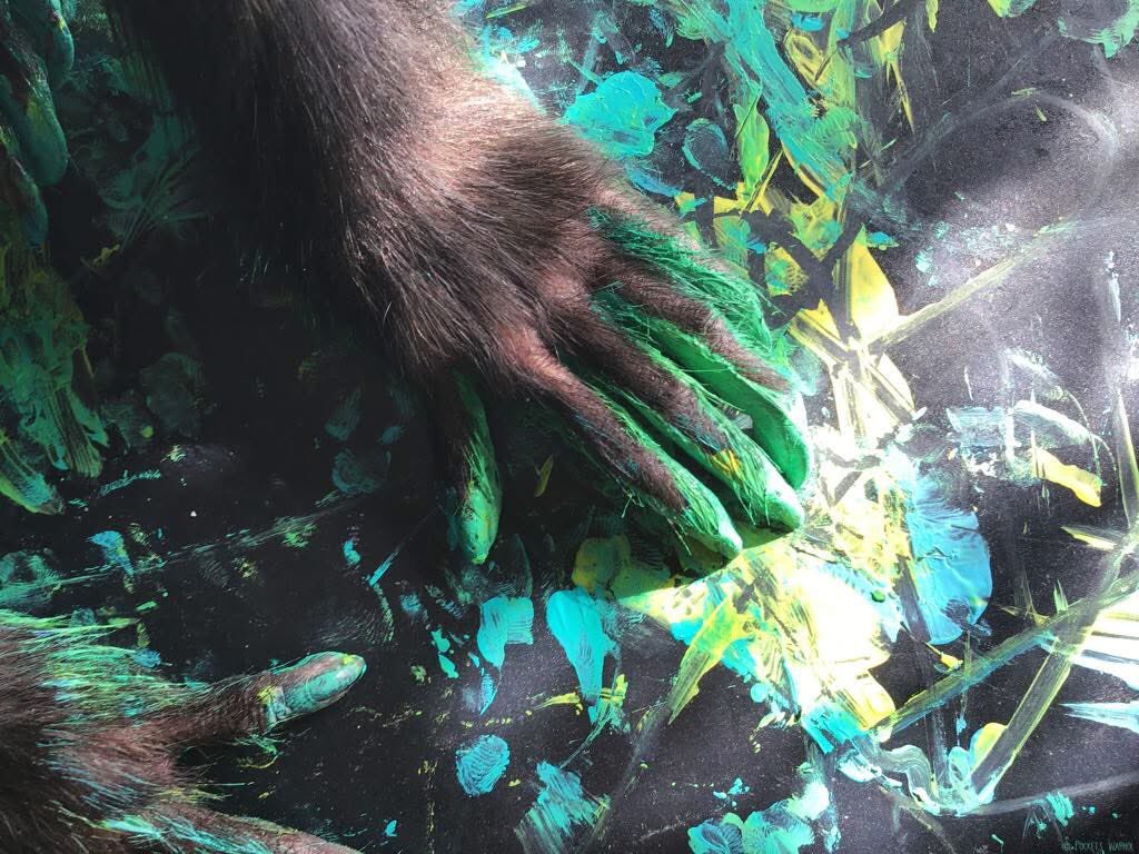 PocketsWarhol's tweet image. ‘Northern Lights’ 🎨🐒🌌🪽#storybookmonkeys #pocketswarholpaints #rememberme