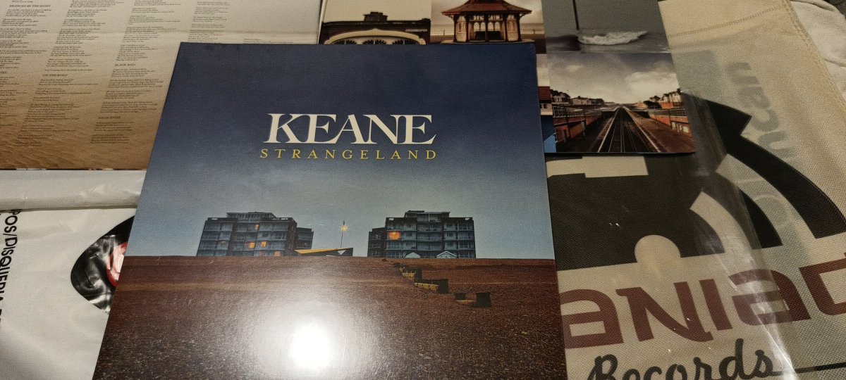 Cat At Night tweet media