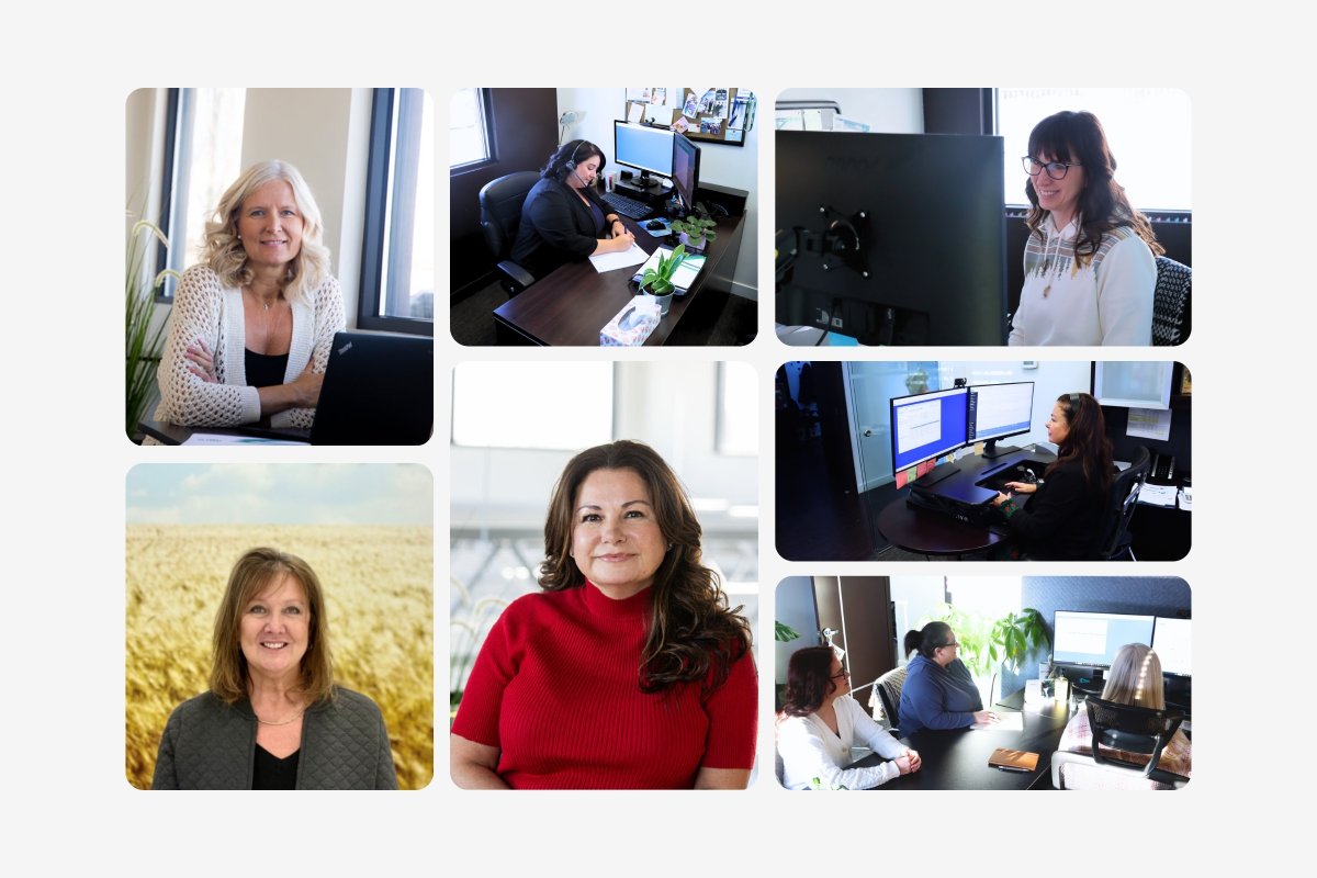 Tronia Systems Ltd. tweet media