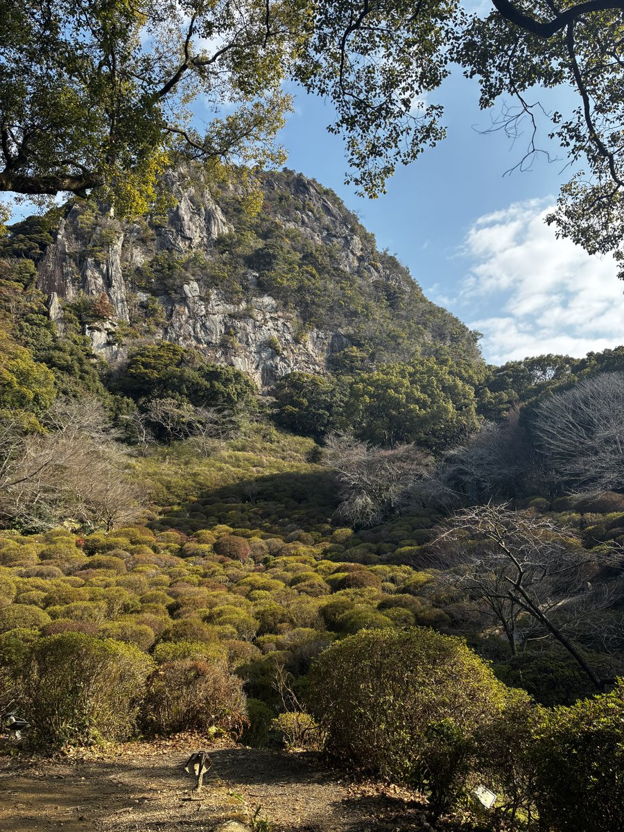 ブラック tweet media