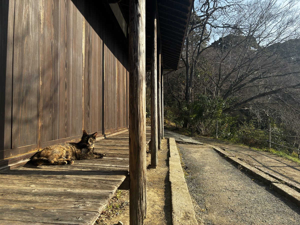 ブラック tweet media