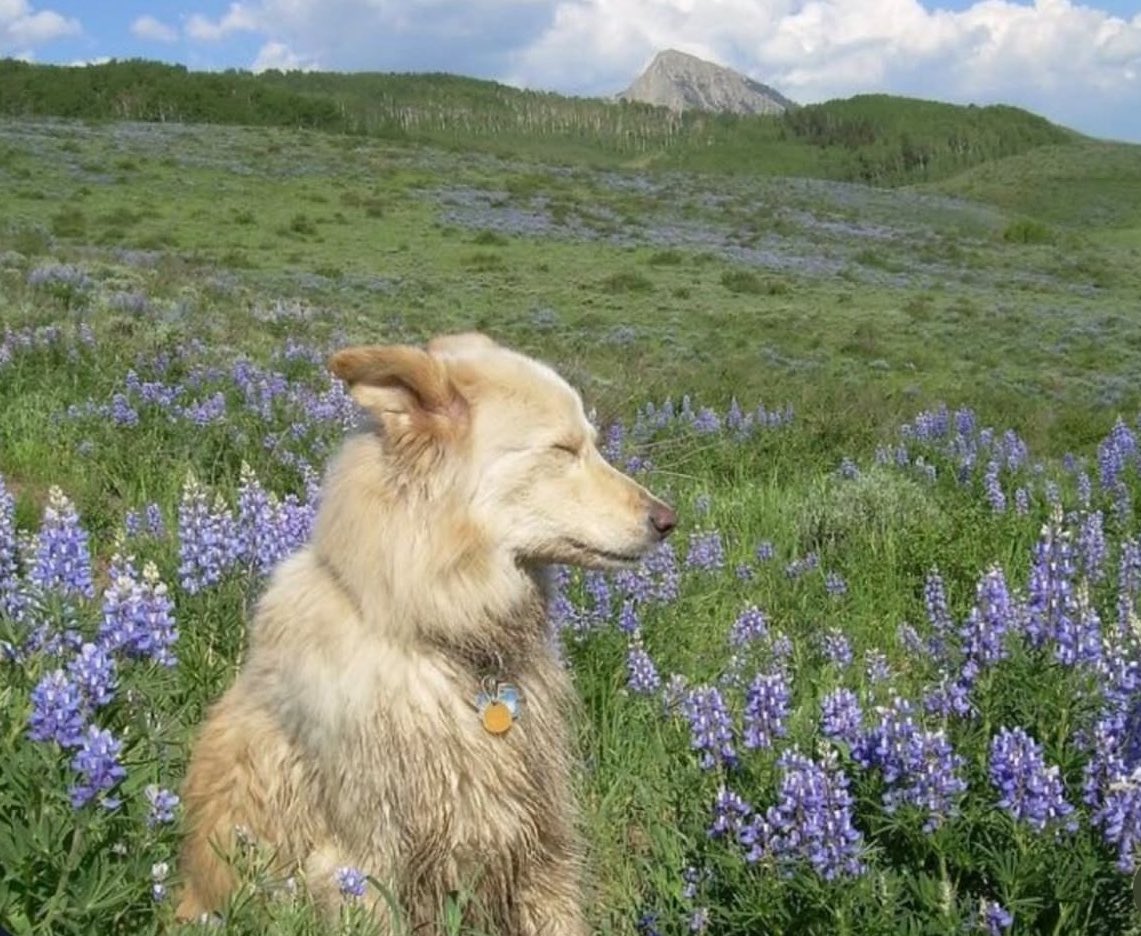 Así se siente la vida después de sacarte del hoyo del que nadie sabía que estabas