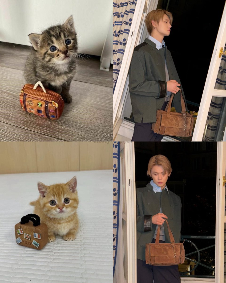 🍼uwu y쭌 우유🐾🏀 tweet media