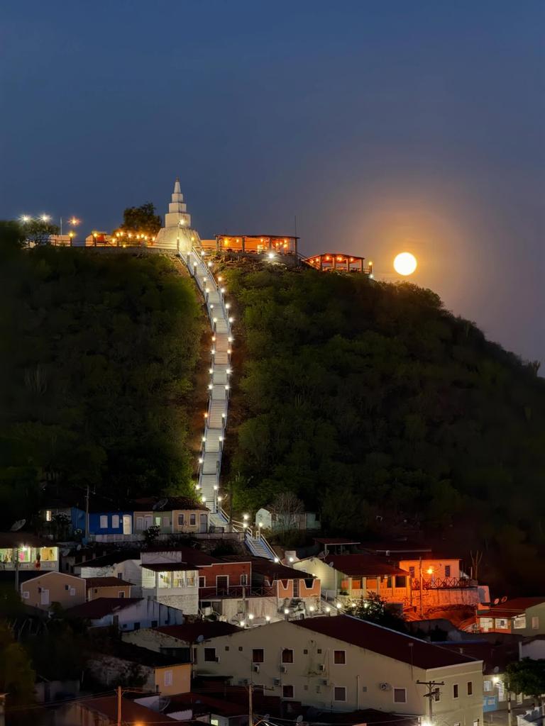 Viviane Fernandes ཐི༏ཋྀ tweet media