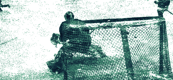 ❝ ᴾᴴᴬᴺᵀᴼᴹ 𝘉𝘙𝘐𝘋𝘌 . (@finniceman) on Twitter photo 