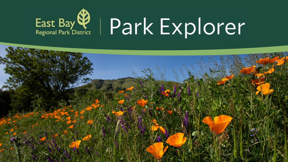 East Bay Regional Park District tweet media