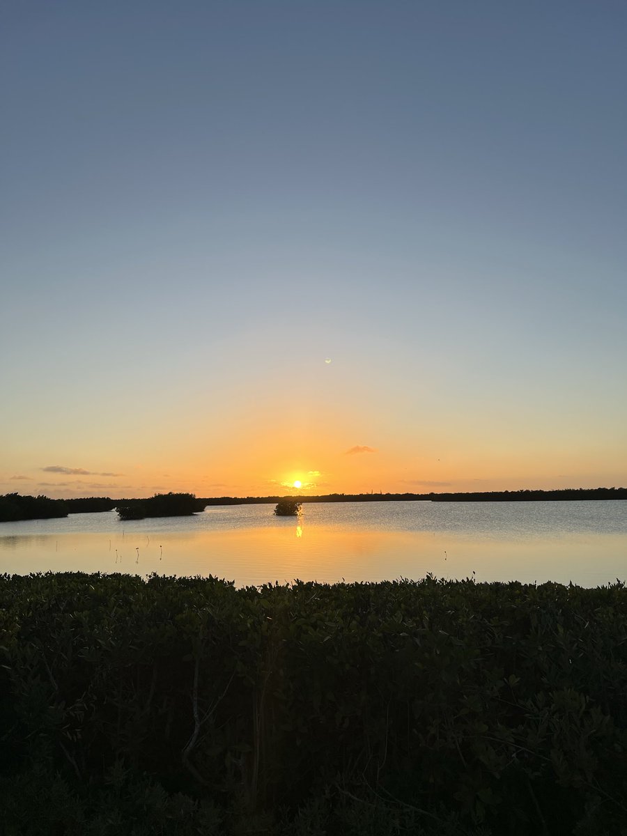 bill blanton tweet media