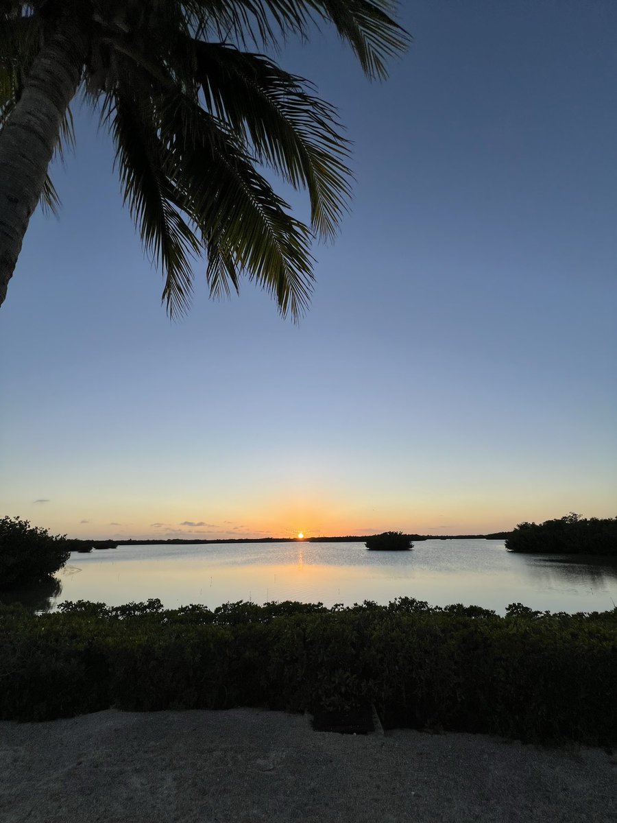 bill blanton tweet media