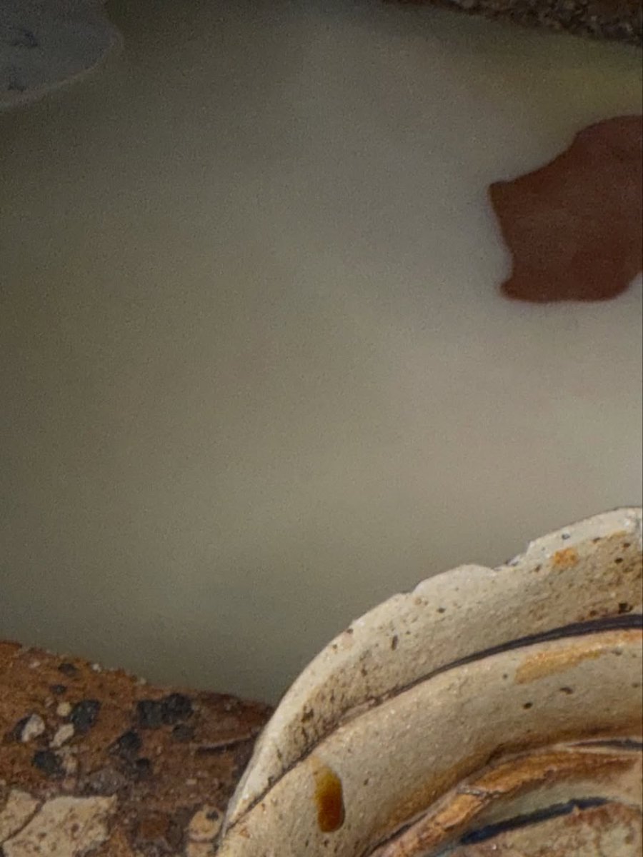 Logan Henderson NL tweet media