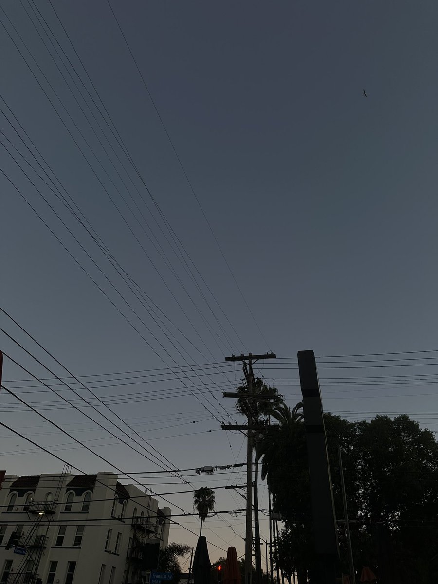 𝓐𝓑. tweet media