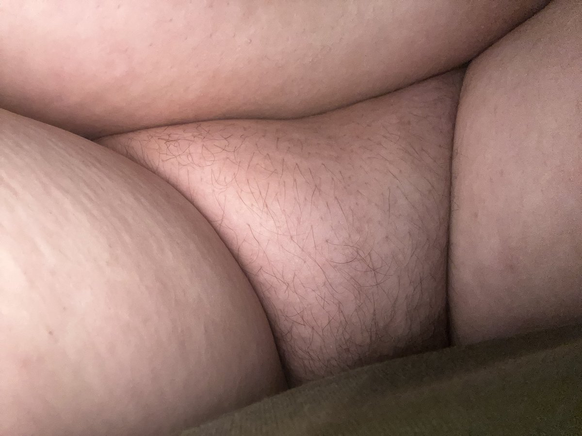 speckle 🐈🍊🔪🔥 tweet media