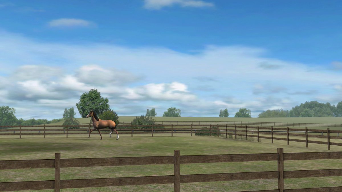JoNegs718's tweet photo. Check out my photo! Add me, GrumpyLlama1019. #MyHorse  https://t.co/L1XmUM5rb2 https://t.co/U114ohW675