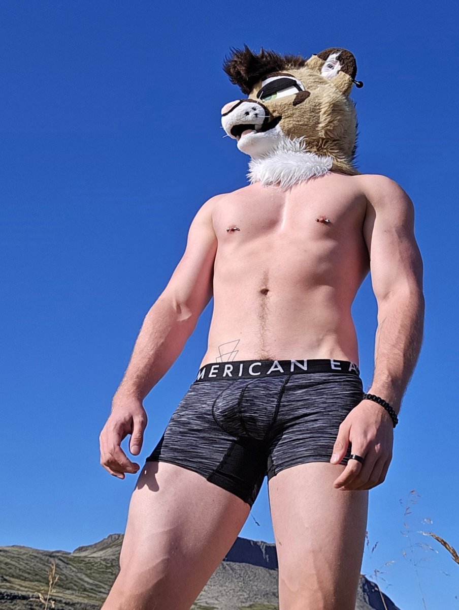 Cougs_irl's tweet photo. 6'4" 
'mountain' lion for a reason 😌 https://t.co/OrWzVJKFSq